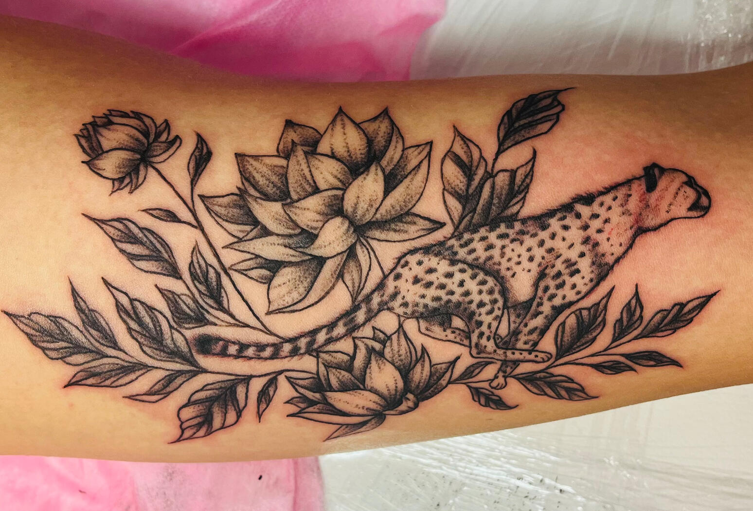 Cheetah and Lotus